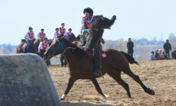 Нооруз майрамына карата жыл сайын өтүүчү көк бөрү боюнча мелдеш өтөт 