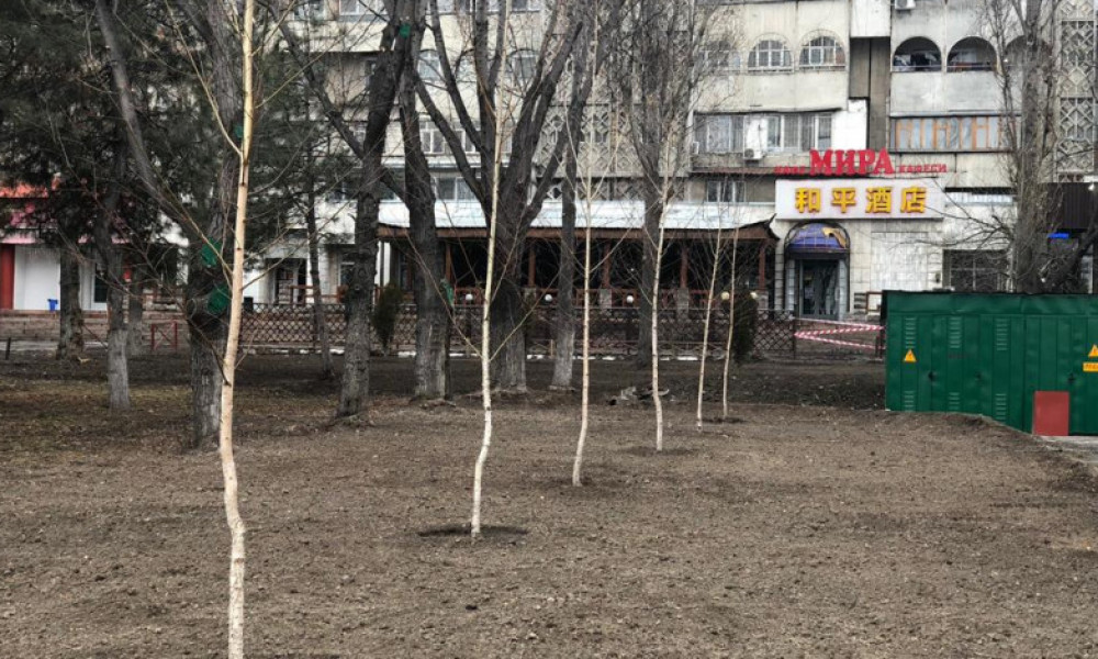 В столице возле торгового центра Red Centre появится зеленая зона