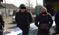 В Таласе милиция задержала лиц, подделывавших ПЦР-анализы