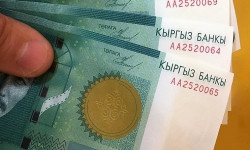 В Кыргызстане количество выданных микрокредитов выросло 