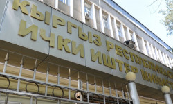 ИИМ үгүт ишине байланыштуу 55 маалыматты текшерүүдө