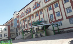 Дипломаттын өлүмүн иликтөө жүргүзүү үчүн комиссия түзүлдү  