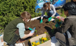 В Оше в рамках общегородского субботника было  вывезено более 700 тонн мусора