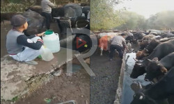 Малдан суу талашып ичкен Көтөрмө айылынын тургундары 