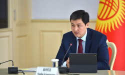 Улукбек Марипов: Айзаданын өлүмү - бул чоң трагедия