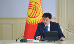 Жеңил өнөр жайын колдоо