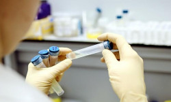Ысык-Көлдө коронавируска чалдыккан кырк сегиз жаран даарыланууда. Экөө оор абалда