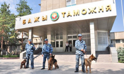 В 1 квартале текущего года ГТС выявила 768 фактов правонарушений