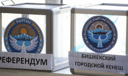 Добуш сатып алган партиялар тууралуу материалдар Бишкек аймактык шайлоо комиссиясына келе элек - Маматов 