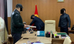 "Унаа" мамлекеттик мекемесинде айдоочулук күбөлүк алуудагы коррупциялык схема аныкталды 