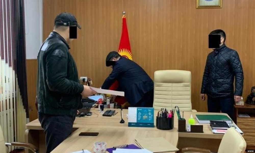 "Унаа" мамлекеттик мекемесинде айдоочулук күбөлүк алуудагы коррупциялык схема аныкталды 