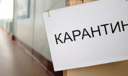В Бишкеке еще три школы временно перешли на онлайн-обучение