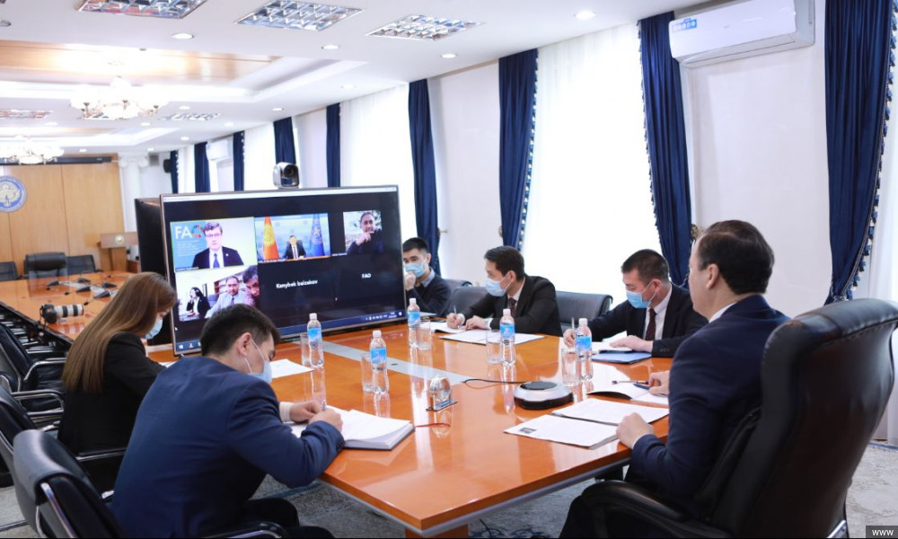Запуск совместного проекта