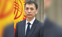 Адилет Дубанаев назначен заместителем председателя ГНС