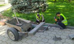 Сотрудники МП «Тазалык» приводят в порядок территорию вокруг монумента Дружбы народов