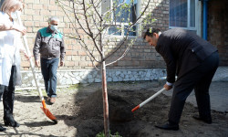 Садыр Жапаров «Эскерүү багы» акциясынын алкагында Бишкектеги балдар үйүндө көчөт отургузду
