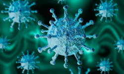 За сутки в Кыргызстане выявили еще 320 новых случаев заражения COVID-19, 3 умерли