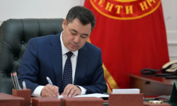 Жыпариса Рысбекова Кыргыз Республикасынын Балдар укугу боюнча ыйгарым укуктуу өкүлү болуп дайындалды