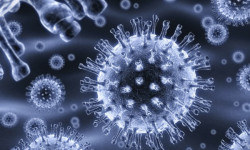 На сегодня 432 пациента с COVID-19 находятся в тяжелом состоянии – статистика