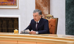 Өзбекстанда Улуттук паралимпиадалык комитет түзүлөт