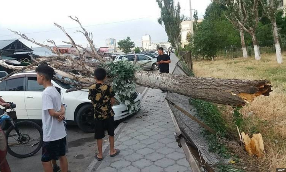 В Бишкеке из-за сильного ветра пострадали три человека
