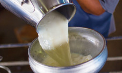 Объёмы экспорта молочной продукции