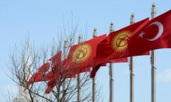 Турция готова помочь Кыргызстану в цифровизации сферы здравоохранения