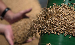 Кыргызстан хочет продлить запрет на вывоз сельхозпродукции из-за засухи