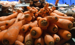 Минсельхоз намерен временно запретить вывоз моркови и картофеля из Кыргызстана