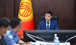 Автошколы будут нести ответственность за своих выпускников, совершающих ДТП