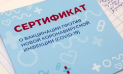 В КР разработали сервис для получения электронного сертификата о вакцинации против COVID-19