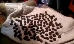 В Бишкеке сотрудники милиции задержали торговца наркотиками 