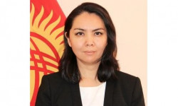 Чынара Мамидинова назначена завотделом правового обеспечения Администрации Президента
