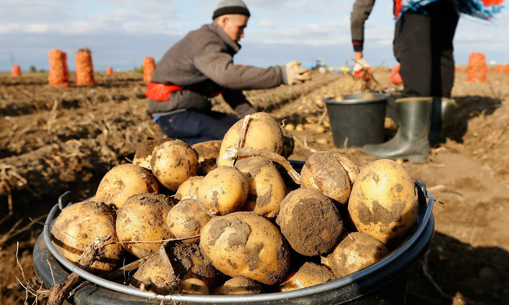 Цены на продукты снизились