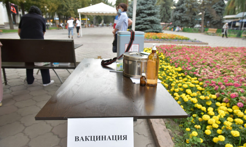 В Кыргызстане расширят перечень профессий, где требуется обязательная вакцинация