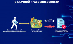 В ЦОН теперь можно получить справку о брачной правоспособности