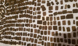 В Чуйской области пресекли деятельность наркогруппировки