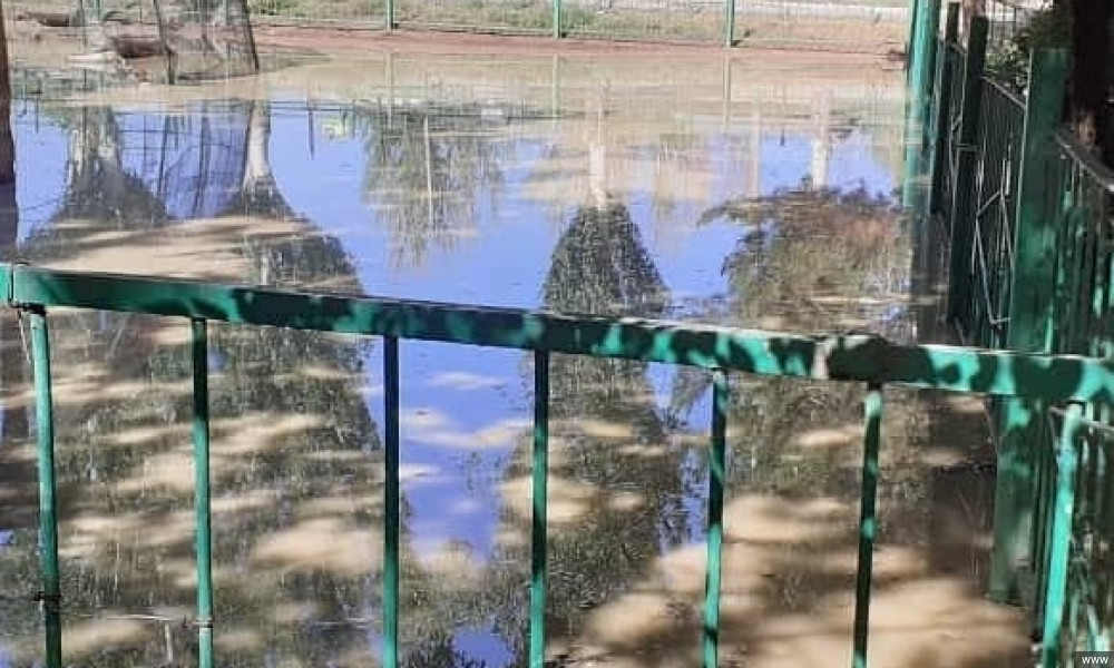 Каракол дарыясынан суу ташып, шаардагы зоопаркты каптады 