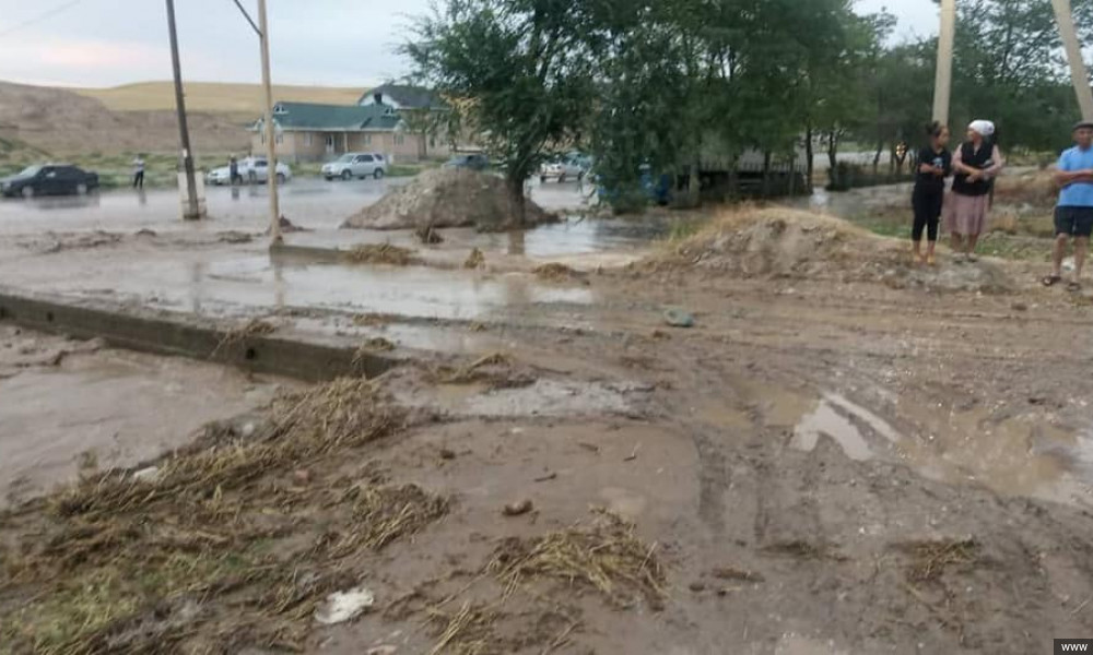 Сузакта селден жабыркаган үй-бүлөлөр чатырларда баш калкалап, мамлекеттен жардам күтүүдө
