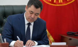 Жол кыймылынын эрежелерин бузгандыгы үчүн айып пулдарды азайтуу жөнүндө мыйзамга кол коюлду 