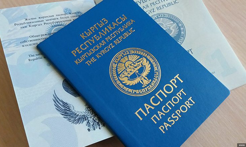 Кыргызстандын жарандыгын 227 киши кабыл алынды