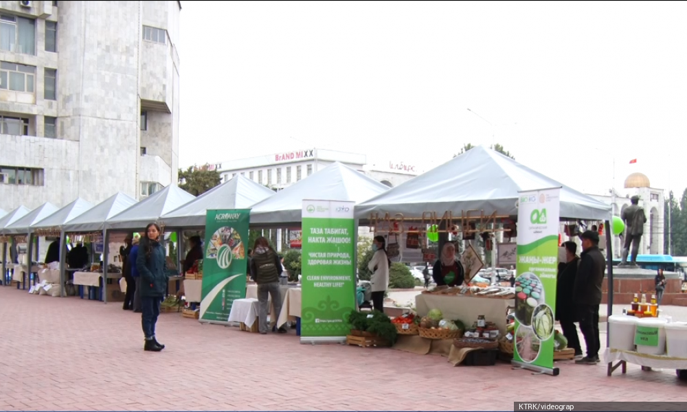 Борбордо "Organic Expo 2021" көргөзмө-жарманке ачылды