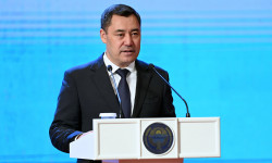 Президент үй-бүлөлүк зомбулуктун көбөйүүсүнө тынчсыздануусун билдирди 