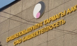 Подготовка к осенне-зимнему периоду. Службы «Бишкектеплосети» работают в усиленном режиме