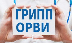 Эпидемический сезон гриппа. Из отобранных 265 анализов в 42% выявлен грипп «А»