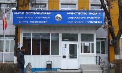 «На удалёнке»: Норму о дистанционной работе предлагают внести в трудовой кодекс