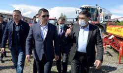 Три банка начали выдачу льготных кредитов фермерам