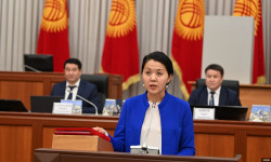 Атыр Абдрахматова избрана омбудсменом Кыргызстана