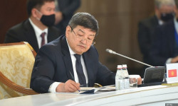Утверждена Дорожная карта по проведению Года защиты горных экосистем и климатической устойчивости