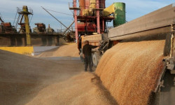 Россия дан азыктарын экспорттоого тыюу салды